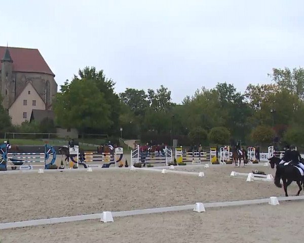 Reitturnier Frankenhof-Sonnefeld/Ofr. 2022