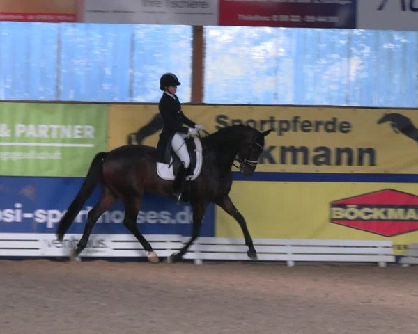 Euregio-Dressurturnier Isterberg 2022