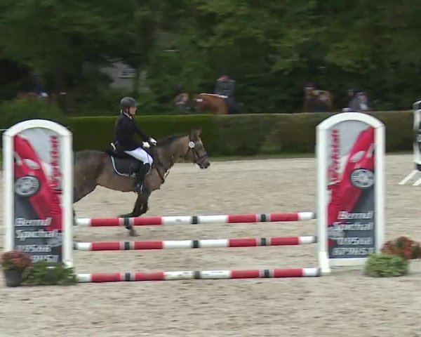Reitturnier Frankenhof-Sonnefeld/Ofr. 2022