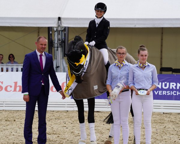 dressage horse Spökenkieker V (Hanoverian, 2014, from Spörcken)
