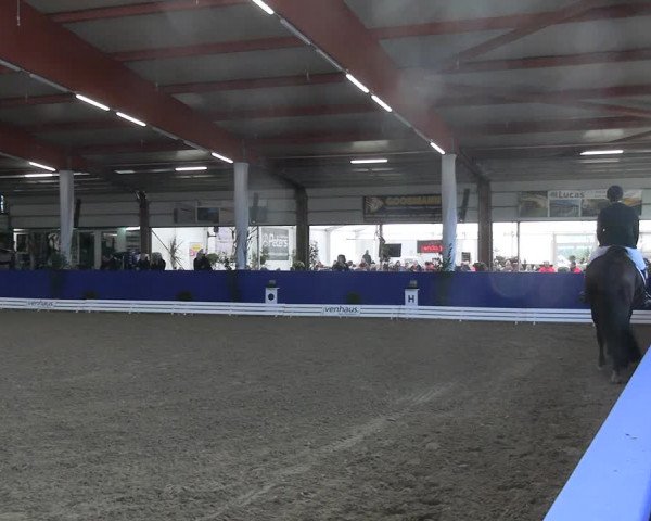 Euregio-Dressurturnier Isterberg 2022