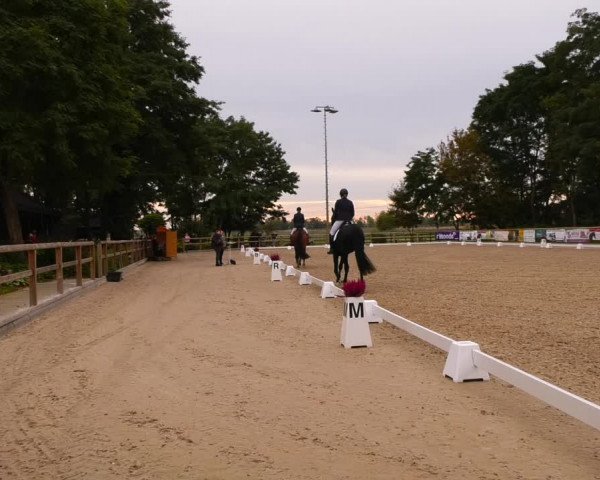 Dressurturnier Ruhlsdorf 2022