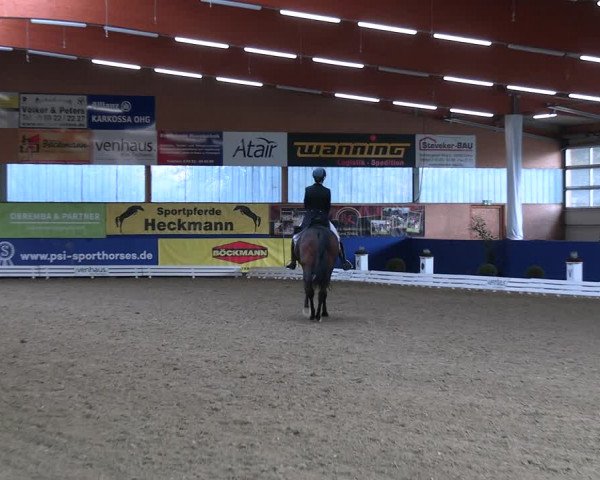 Euregio-Dressurturnier Isterberg 2022