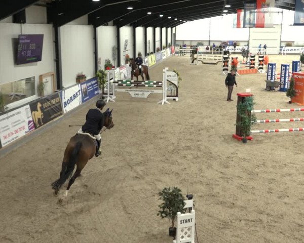 Reitturnier Borken 2022