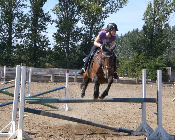 Skokan Wonne Girl (Hannoverský, 1997, od Wolkenstein II)