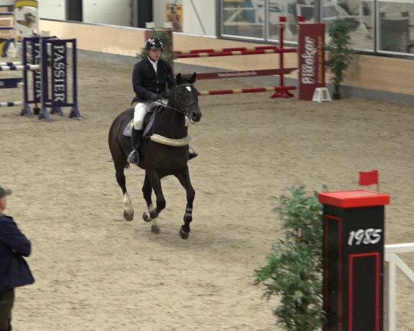 Reitturnier Borken 2022