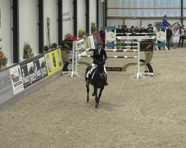 Reitturnier Borken 2022