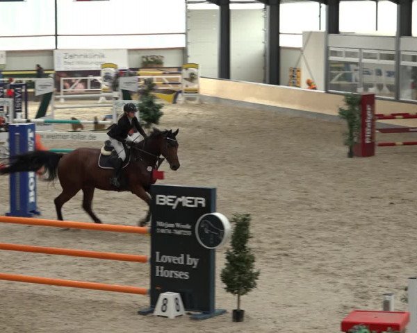 Reitturnier Borken 2022