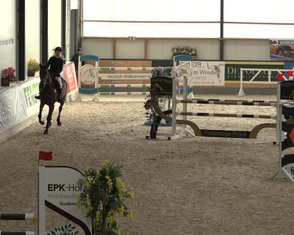 Reitturnier Borken 2022