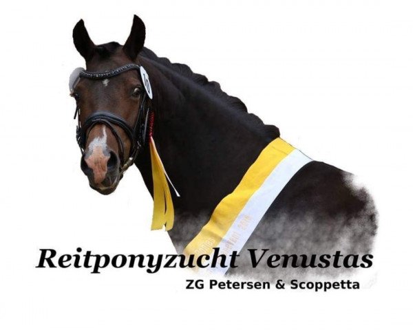 Z g Petersen/ Scoppetta
