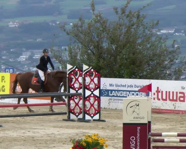Pferdesporttage Wädenswil 2022