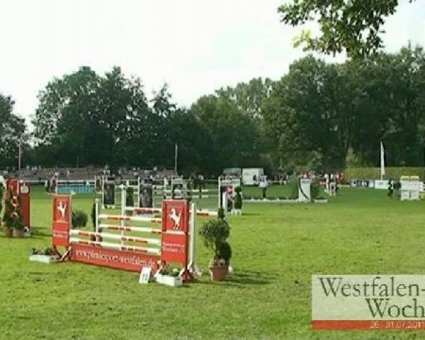 Springpferd Cast No Shadow (Holsteiner, 2005, von Contender)
