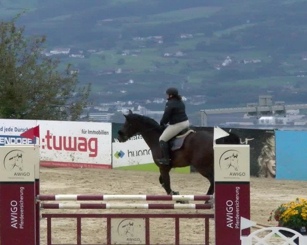 Pferdesporttage Wädenswil 2022