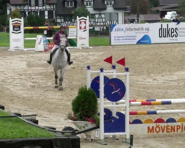 Pferdesporttage Wädenswil 2022