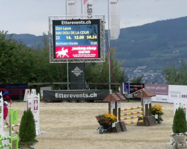 Pferdesporttage Wädenswil 2022