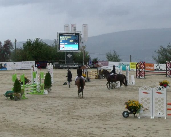 Pferdesporttage Wädenswil 2022