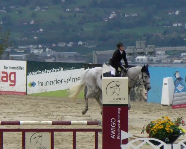 Pferdesporttage Wädenswil 2022