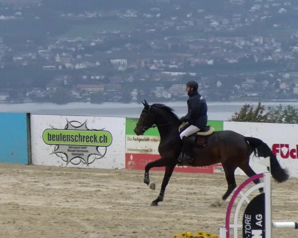 Pferdesporttage Wädenswil 2022