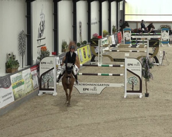 Reitturnier Borken 2022