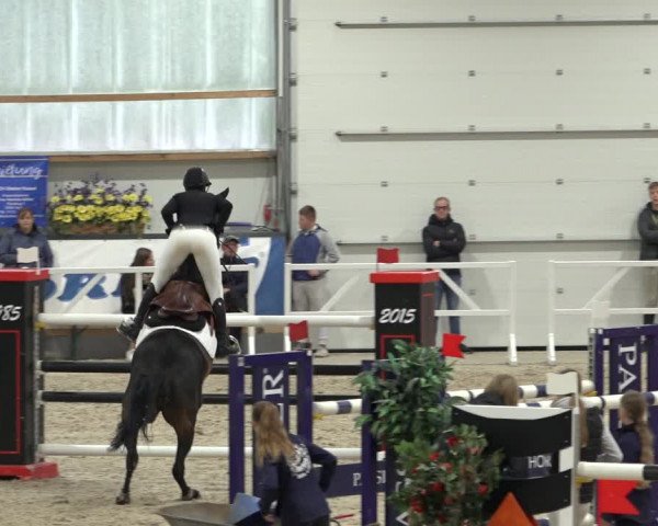Reitturnier Borken 2022