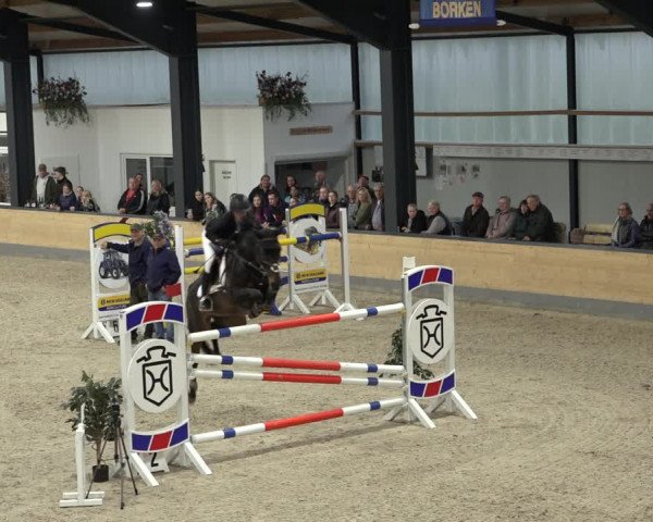 Reitturnier Borken 2022