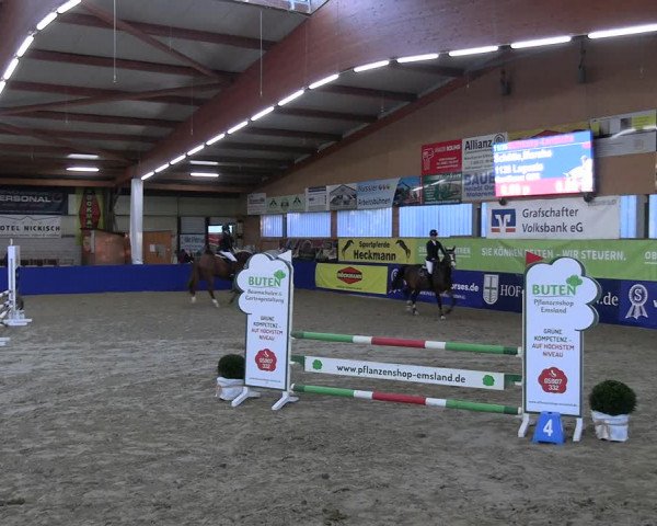 Reitturnier Isterberg Euregio Springturnier 2022