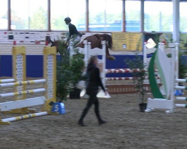 Reitturnier Isterberg Euregio Springturnier 2022