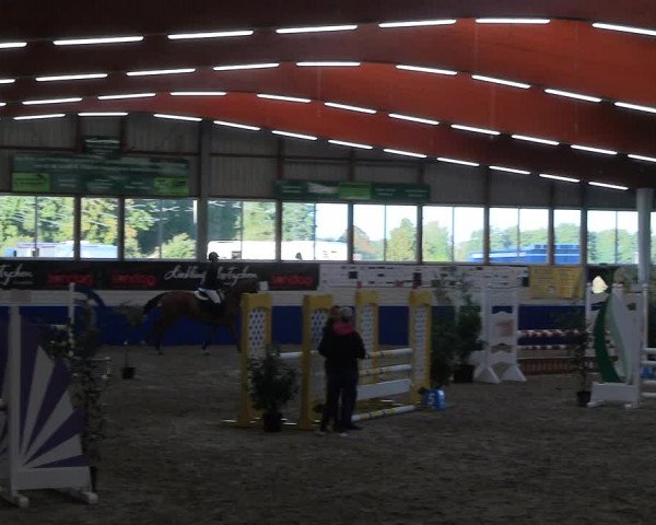 Reitturnier Isterberg Euregio Springturnier 2022