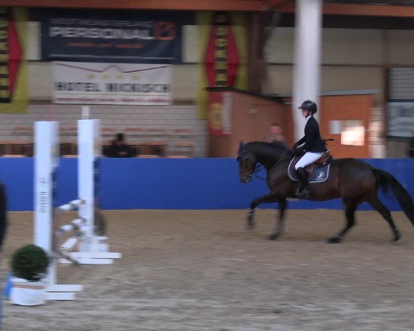 Reitturnier Isterberg Euregio Springturnier 2022