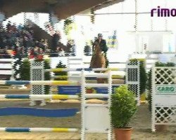 jumper Shannon (KWPN (Royal Dutch Sporthorse), 2001, from Marome NW)