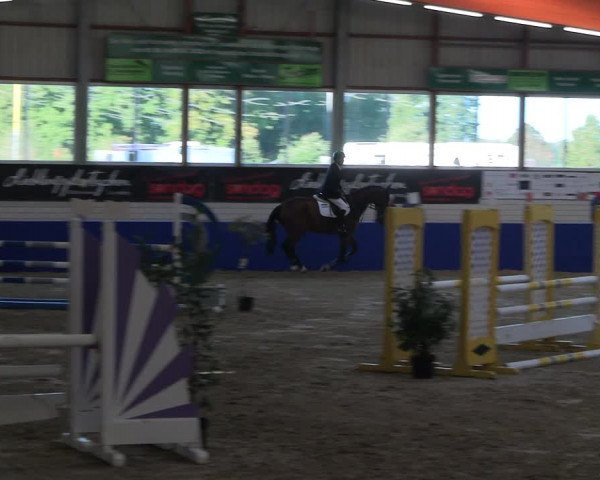 Reitturnier Isterberg Euregio Springturnier 2022
