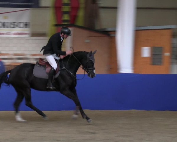 Reitturnier Isterberg Euregio Springturnier 2022