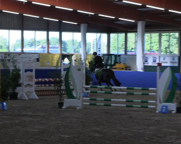 Reitturnier Isterberg Euregio Springturnier 2022