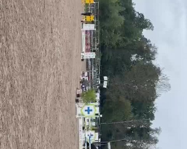 Video von Francine 13