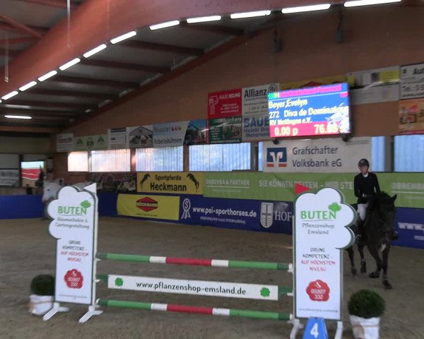 Reitturnier Isterberg Euregio Springturnier 2022