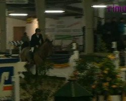 Caballo de salto Cantano T (Holsteiner, 2005, de Candillo Z)