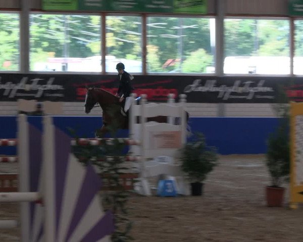 Reitturnier Isterberg Euregio Springturnier 2022
