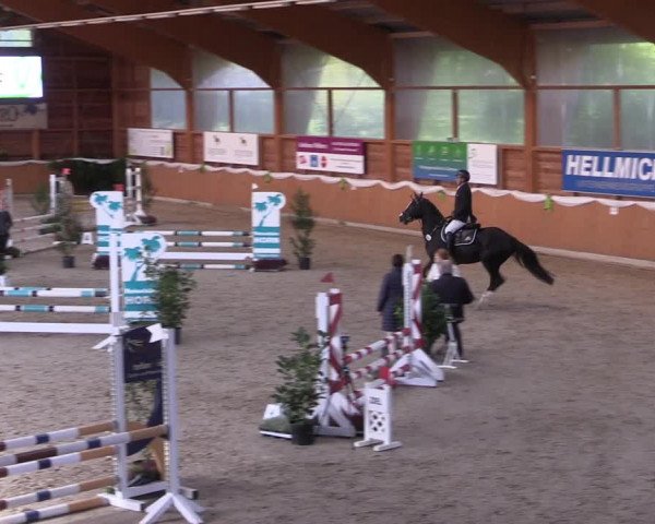 Reitturnier Xanten - Reitanlage Miss 2022