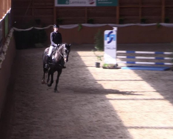 Reitturnier Xanten - Reitanlage Miss 2022