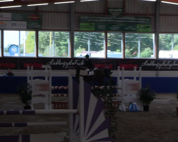 Reitturnier Isterberg Euregio Springturnier 2022