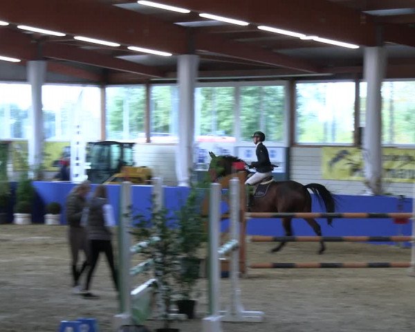 Reitturnier Isterberg Euregio Springturnier 2022