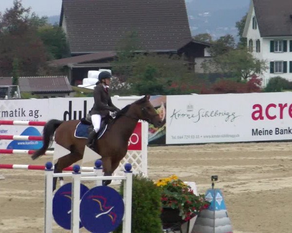 Pferdesporttage Wädenswil 2022