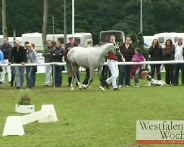 broodmare Donnerlittchen (German Riding Pony, 2008, from Donnerwetter)
