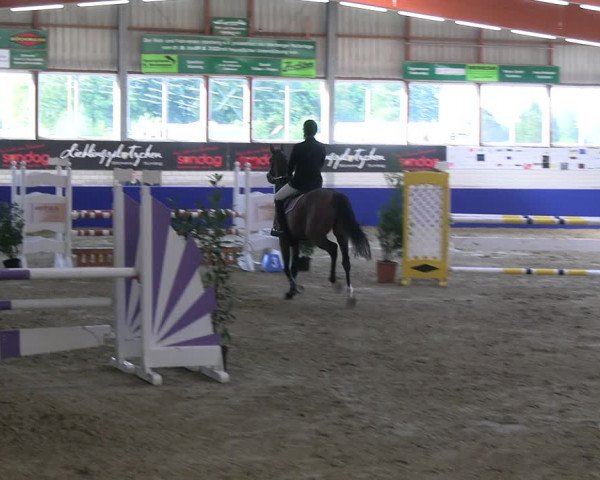 Reitturnier Isterberg Euregio Springturnier 2022