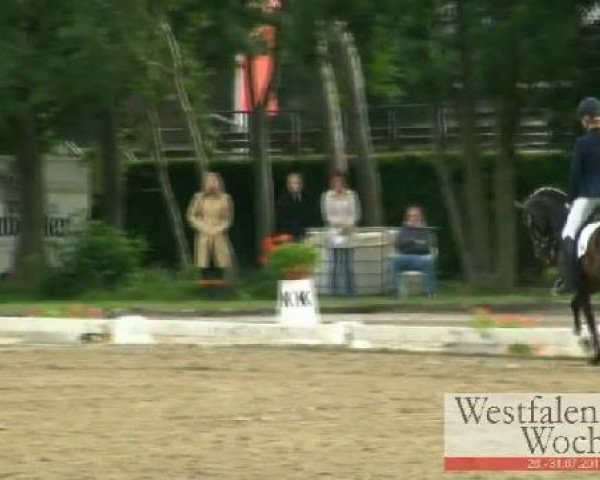 Zuchtstute Dilaila (Deutsches Reitpony, 2008, von Der feine Lord AT)