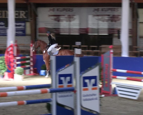 Reitturnier Isterberg Euregio Springturnier 2022