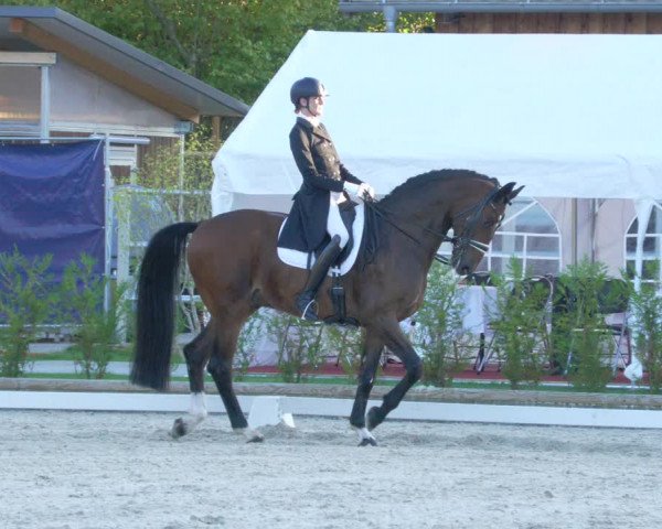 Reitturnier Troisdorf - Haus Rott 2022