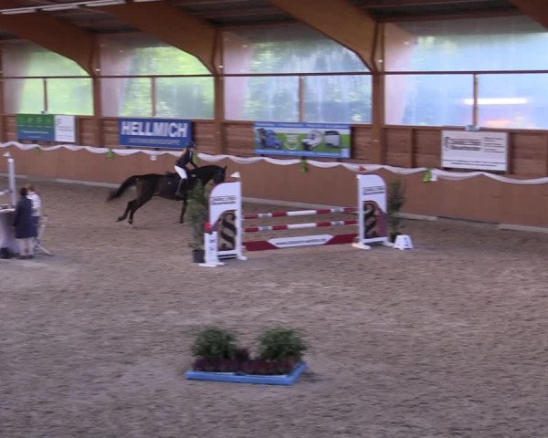 Reitturnier Xanten - Reitanlage Miss 2022