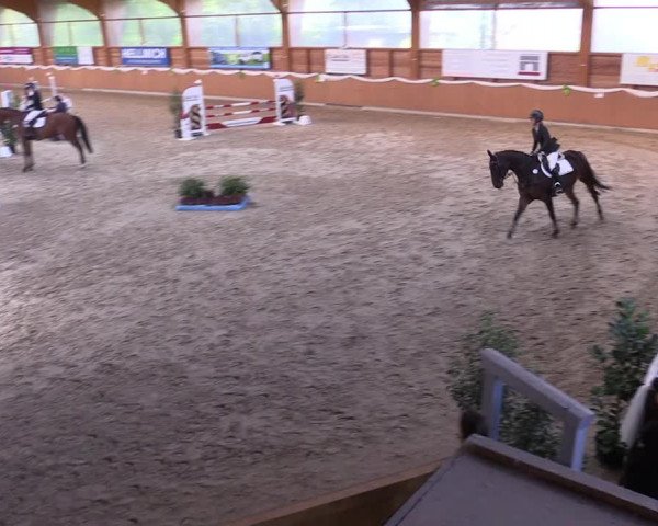 Reitturnier Xanten - Reitanlage Miss 2022
