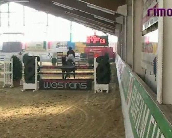broodmare Zacha (Hanoverian, 1997, from Zacharias)
